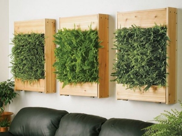 Moderne vægbeklædning stueplanter