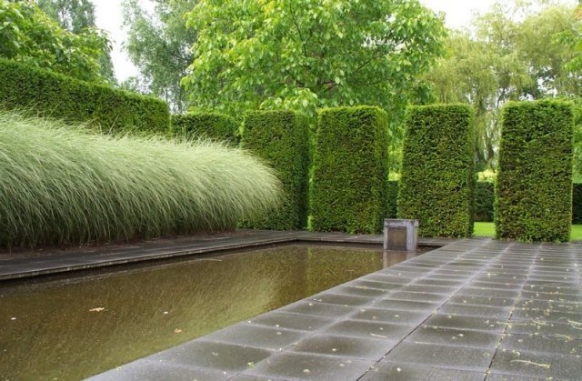 have landskab design terrasse dam prydplanter græsboks hække