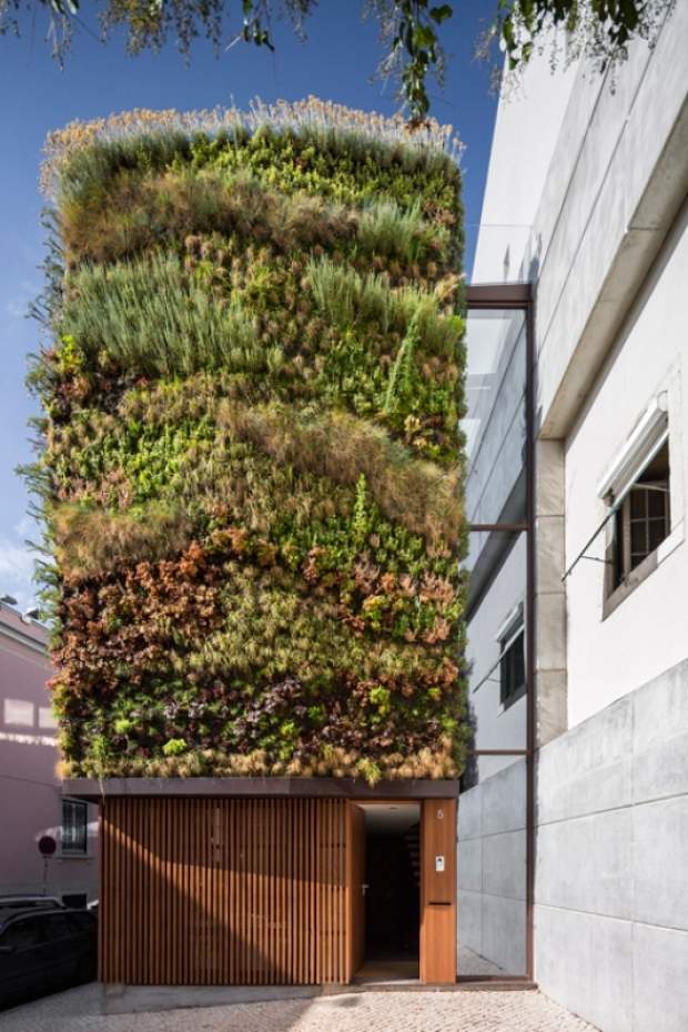 idéer landskabspleje hus facade grønt træ hoveddør