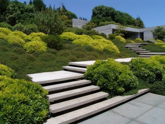 design landskabspleje bjergskråning betontrappe dværgbuske