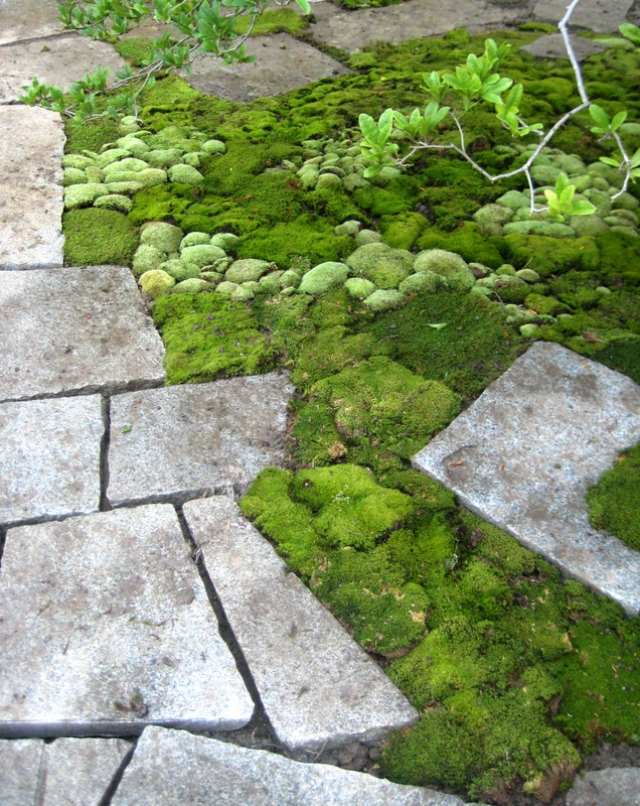 gulve terrasse sten ideer mos natursten kombination