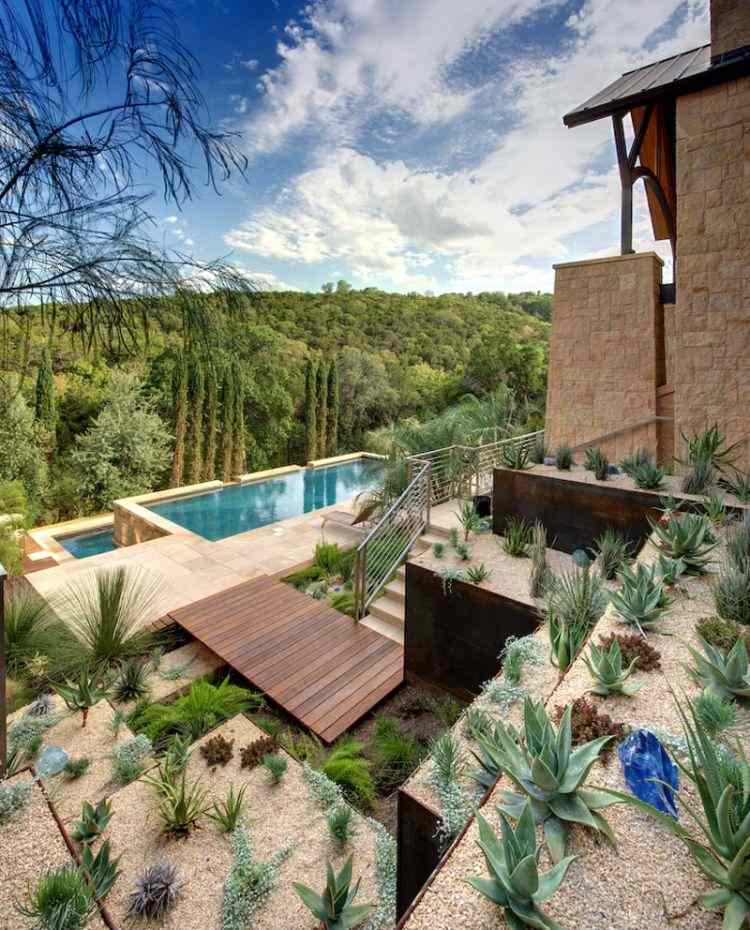 kaktus saftige ideer havedesign-letplejet-terrasser