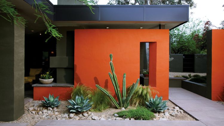 kaktus-sukkulenter-ideer-havearbejde-let-pleje-baggrund-væg