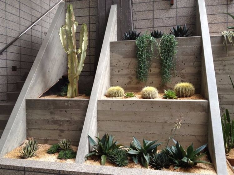 kaktus-sukkulenter-ideer-havedesign-letplejet-nedsænket have