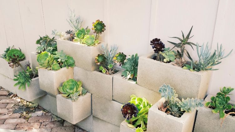 kaktus-sukkulenter-ideer-havedesign-letplejelige-betonsten