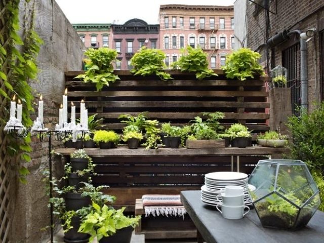 Ideer havedesign-på altan-planter grønnende væg
