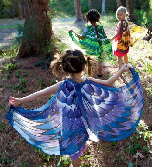 Mardi Gras kostumer børneidéer sommerfuglvinger