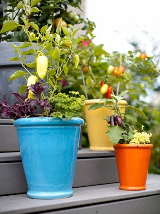 Farverige urtepotter ideer til etablering af små haver