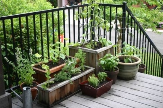 Opsætning af urtepotter ideer til at oprette en lille have