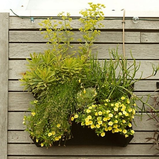 gule blomster ideer til at oprette en lille have