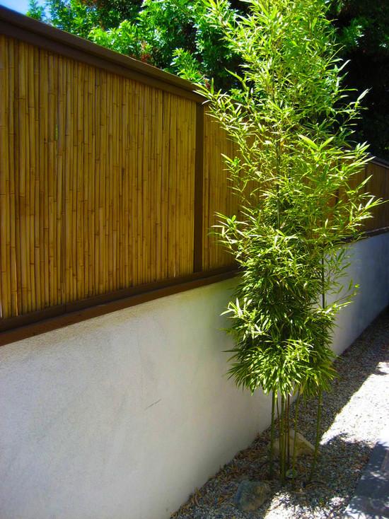 Ideer privatliv skærm beton bambus hegn