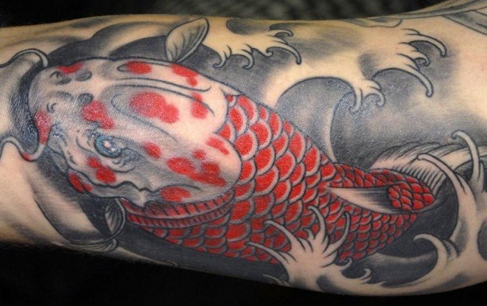 rød-koi-tatovering-bølger-symbolik-krop-kunst-motiver-til-mænd