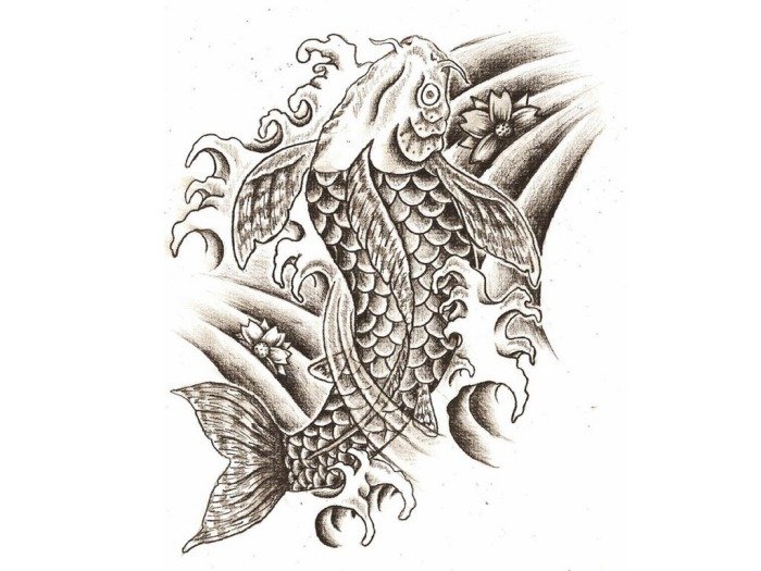 koi karp fisk tatovering skabelon design japansk stil