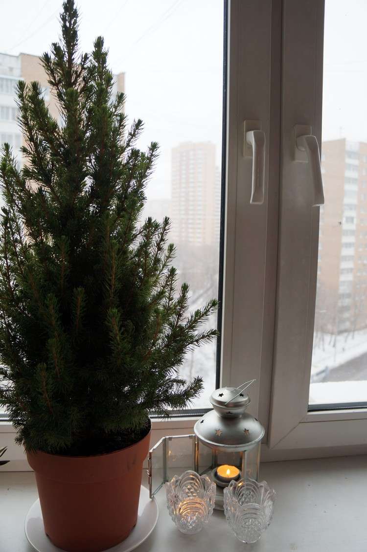 vindueskarm-dekoration-inde-jul-lille-gran-træ-gryde-stearinlys-lanterne