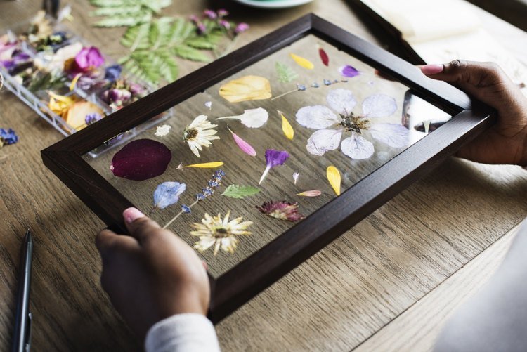 Håndværk ideer forårsherbarium tørrer blomster i billedramme