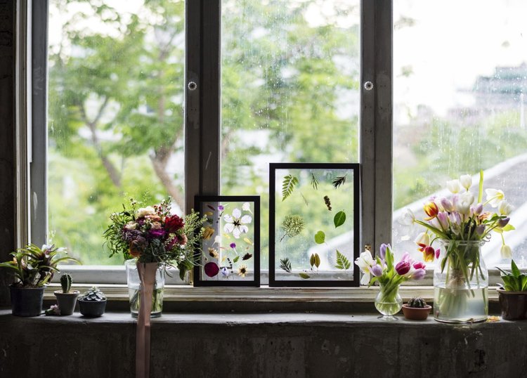 Håndværk ideer forårsherbarium dekoration væg vindueskarmen