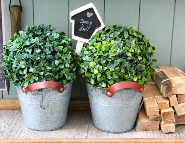 Kreative haveideer plant pot pot buksbom spand