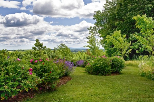 traditionel have land stil stil blomsterbed buske