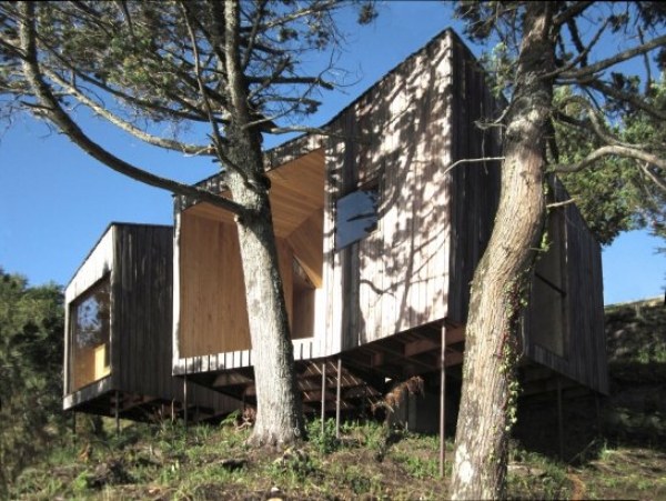 moderne-sauna-design-skov