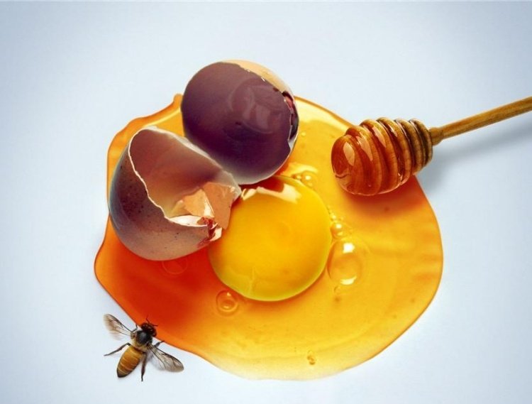 Ansigtsmaske mod-tør-hud-æg-honning