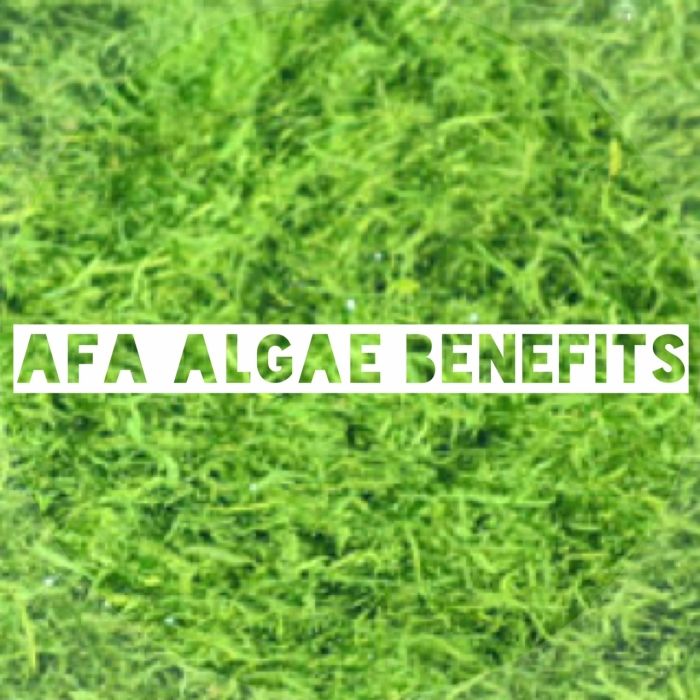 Tips-AFA-Alger-Superfoods-Sundhedsmæssige fordele-