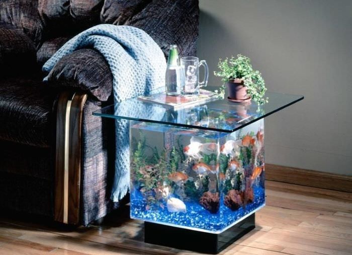 Litet akvarium i form av ett soffbord