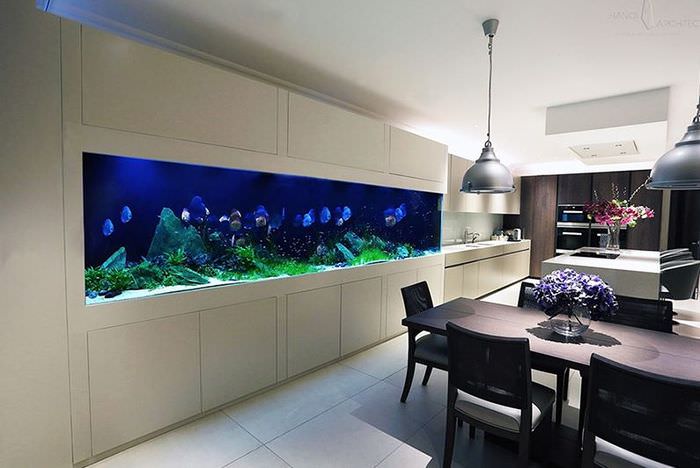 Dlouhé akvárium v ​​interiéru obývacího pokoje v kuchyni