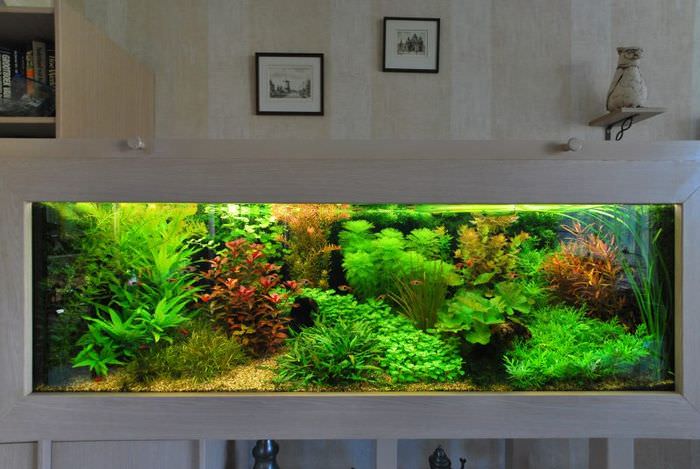 Украса за аквариум в холандски стил