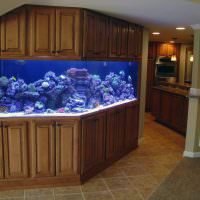 Кухненски шкафове с вграден аквариум