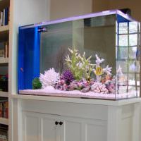 Домашен аквариум на дървена стойка
