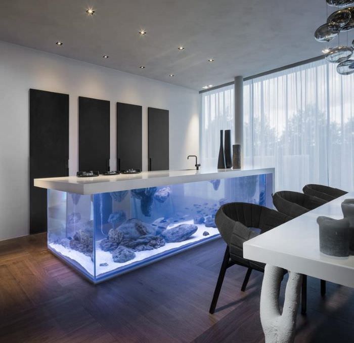 Köksö med ett akvarium i det inre av köks-vardagsrummet