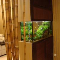 Bambus v moderním designu interiéru
