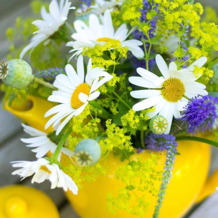 Lav selv havedekorationer og plant tekanden med sommerblomster
