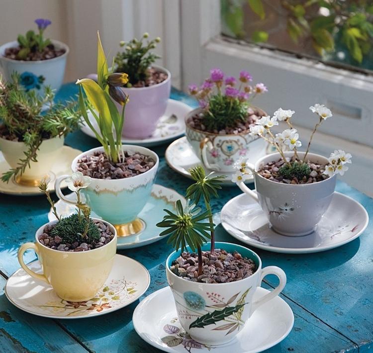 Gamle kopper planter minihave med blomster og planter til stenhave