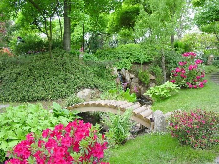 krásna záhradná záhrada v anglickom štýle s kvetmi