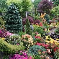 elegantná úprava záhrady v anglickom štýle s fotografiou stromov