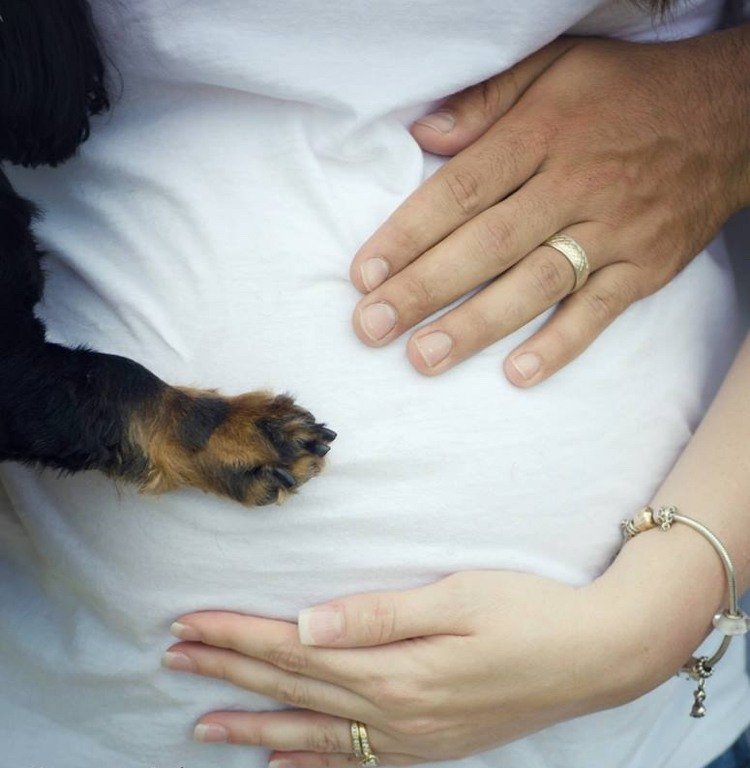 baby bump fotos-gør-det-selv-graviditet-fotos-ideer-tips-med-hund-pote