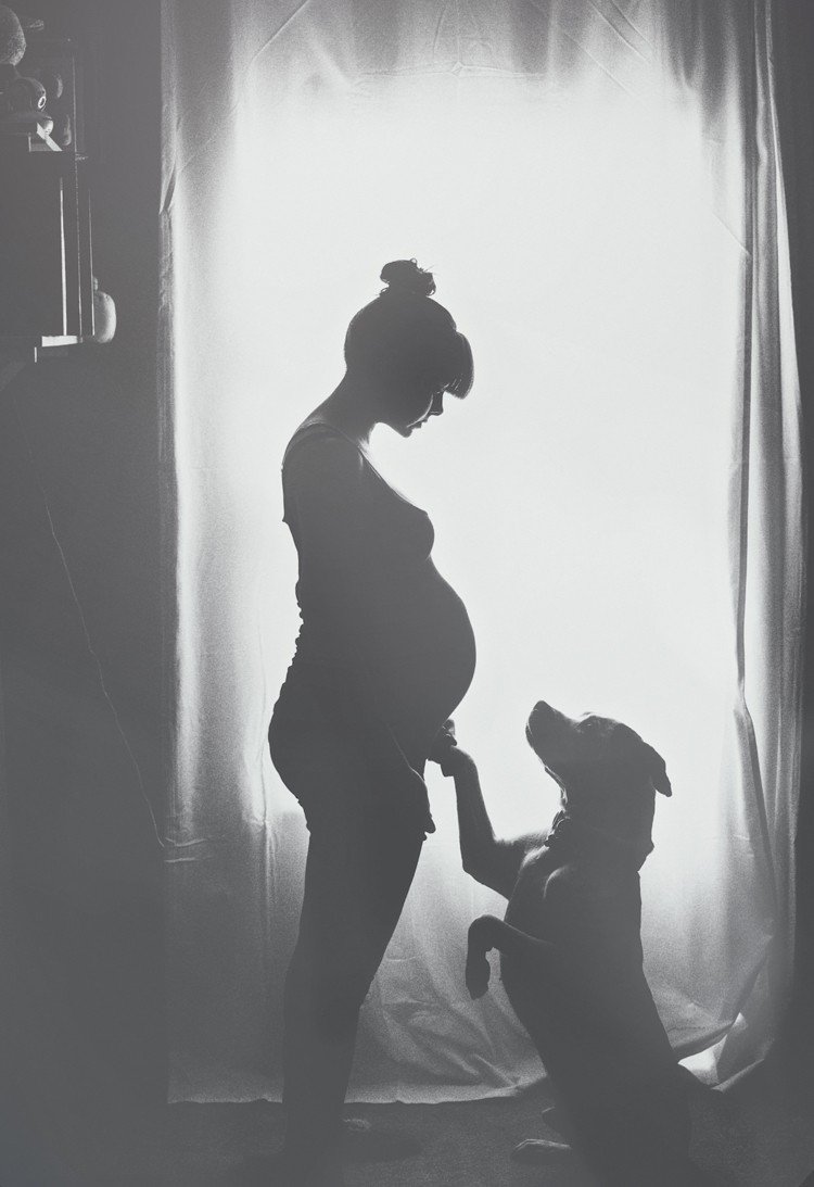 Lav selv babybump-fotos -graviditetsfotos-ideer-tips-sort-hvid-med hund