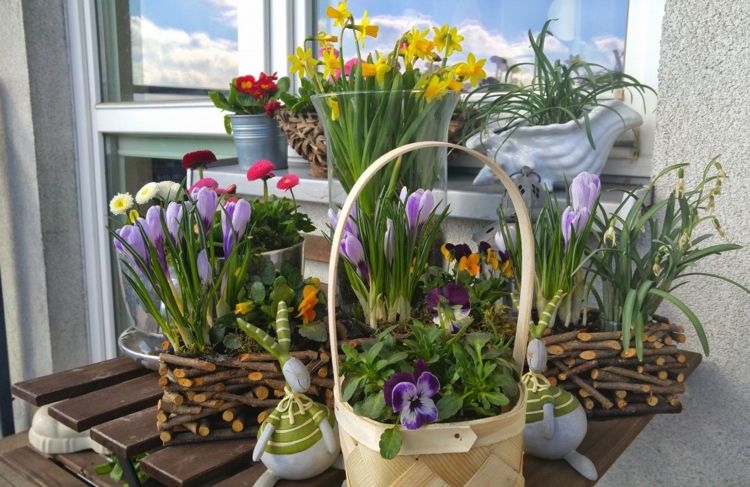 Altan blomster forår balkon bord stedmoderblomst krokus påskeliljer påskeliljer