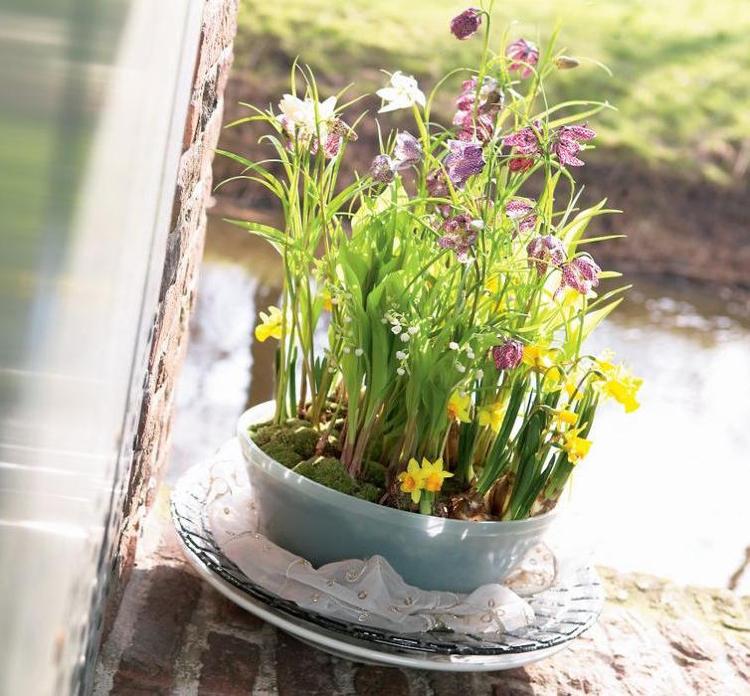 hvilke altanplanter fra marts påskeliljer og skakblomster