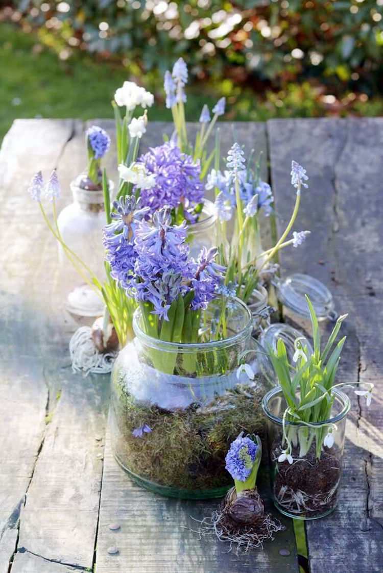 lilla hyacinter og dalens liljer i et glas mos