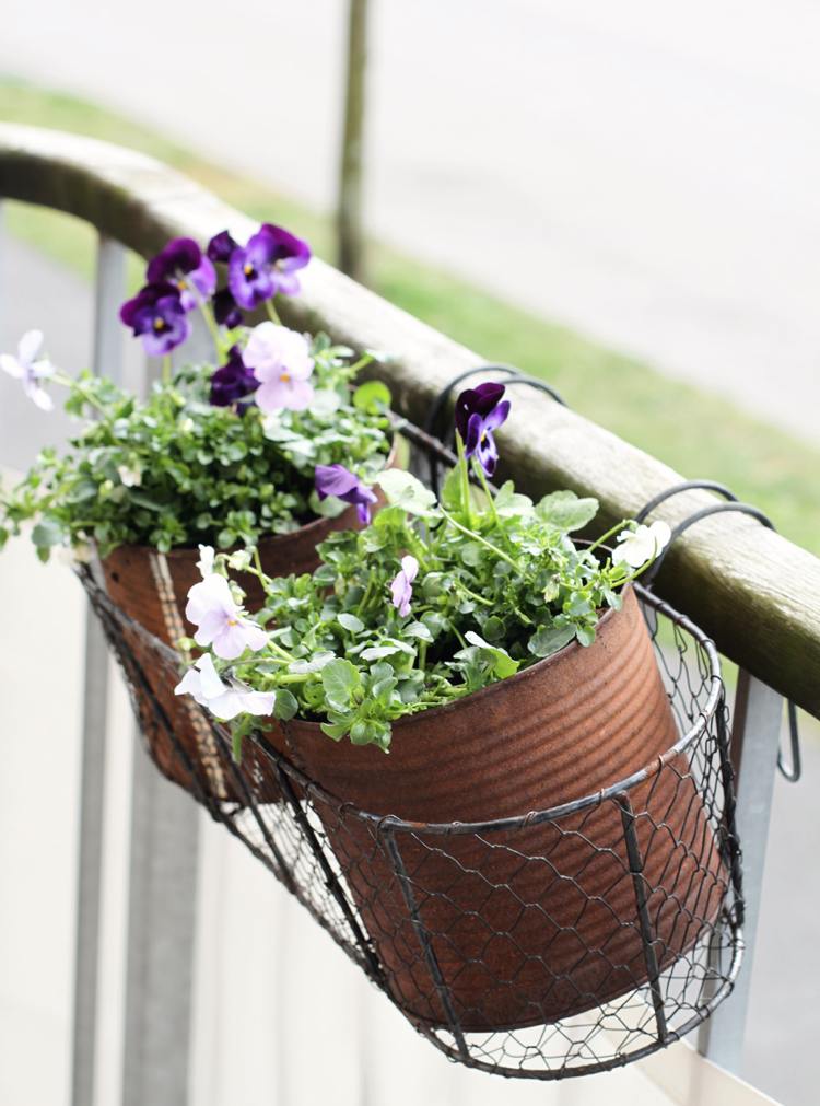 altanplanter marcherer stedmoderblomster i metal dåser på rækværket