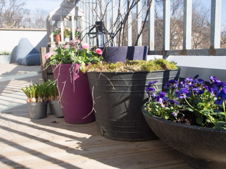 Balkonplantningsideer Planteskåle og spande