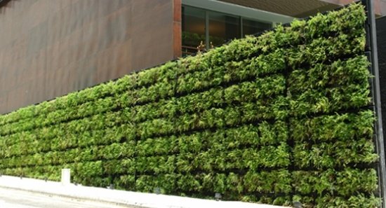 Grøn væg ideer-vind privatliv skærm terrasse
