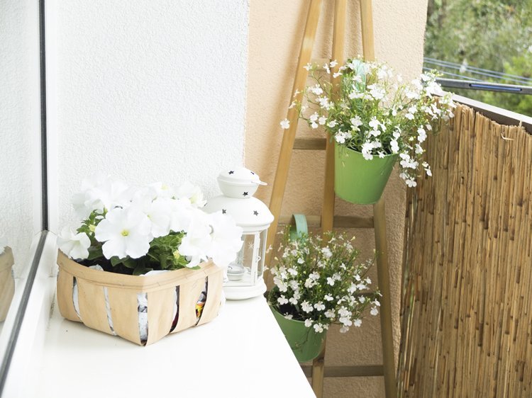 Balkonplanter Hvide blomster Hængende spand Bambusmåtte Beskyttelse af personlige oplysninger