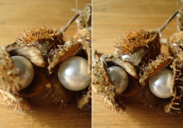 tinker med bøgetræer hvide perler elegant dekoration