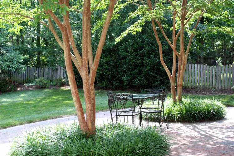 Træ som skyggeudbyder til terrassen og sædet i haven. Tips