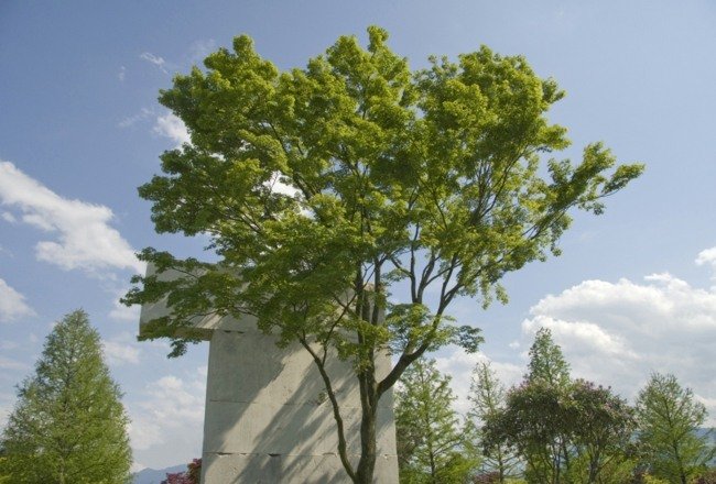 Schweiz naturpark besøg ideer