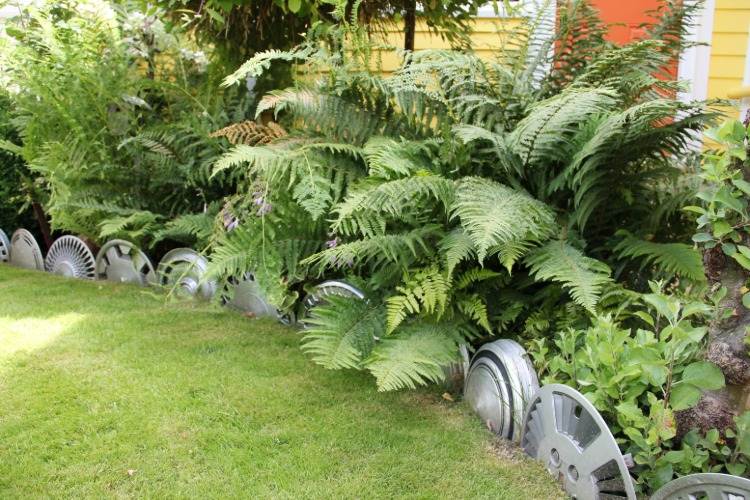 gamle hubcaps som en havegrænse skaber kreative ideer til grænser i haven