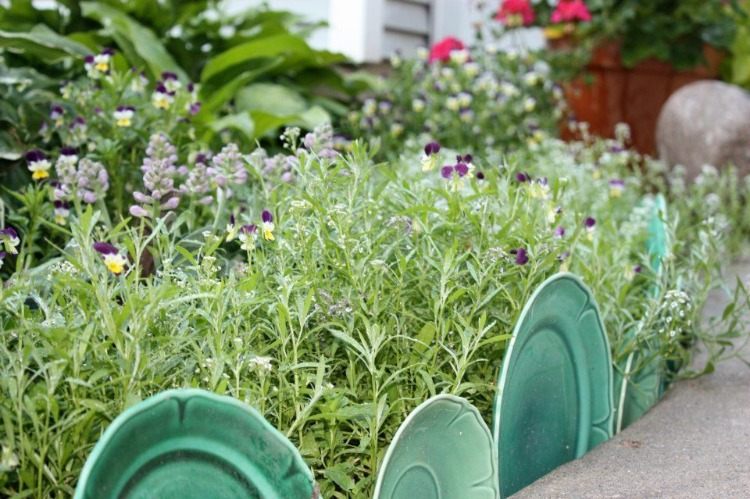 grønt service arrangeret som en havegrænse på havestien foran planter